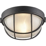 Trans Globe 41515 Rt 10" Width Light Flush Mount Bulkhead Outdoor Wall. Fixed Price $30.00.