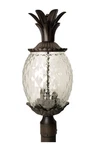 Acclaim Lighting 7517 3 22.25"H Pineapple Post - Black. Fixed Price $168.00.