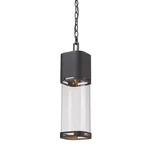 Z-lite Lestat 1 Outdoor Chain Light, Black, Clear 562CHB-BK-LED. Fixed Price $104.99.