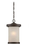Nuvo Lighting 62/645 Diego Led 9 Inch Mahogany Bronze Outdoor Hanging. Fixed Price $150.00.