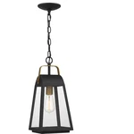 OLY1908EK Quoizel O'leary Earth Industrial Clear Outdoor Hanging Light Black. Fixed Price $159.00.