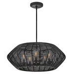Hinkley Lighting Luca 5LT 4" Outdoor Chandelier, Black/clear Seedy 10385BK-LV. Fixed Price $954.00.