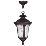Livex Lighting Oxford Outdoor Chain Hang Bronze 7854-07. Fixed Price $199.96.