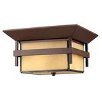 Hinkley Lighting Harbor Outdoor Flush Mount, Anchor Bronze - 2573AR. Fixed Price $329.00.