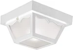 Design House 501858 Traditional 2-LIGHT Outdoor/indoor Ceiling Dimmable. Fixed Price $54.54.