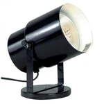 Black Plant Or Pin Up Accent Lamp Lightning Fixture SATCO-SF77-394. Fixed Price $30.50.