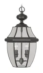 Livex Lighting 2255-04 Monterey Outdoor Black Finish Solid Brass Hang.... Fixed Price $212.88.