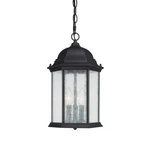 Capital Lighting Main Street Hanging Lantern, Black - 9836BK. Fixed Price $168.00.