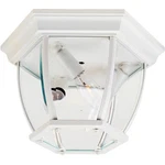 Maxim Lighting 1029WT Crown Hill 3 11 Inch White Outdoor Flush Mount. Fixed Price $62.90.