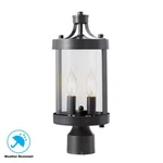 Home Decorators Collection- Caged 2-LIGHT Outdoor Iron Post 302361095. Fixed Price $79.99.