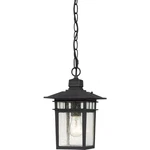 Nuvo Lighting 60/4956 Cove Neck 1 7"W Outdoor Mini Pendant - Black. Fixed Price $73.59.