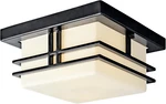 Tremillo 11.5" Black Outdoor Semi Flush With Opal Glass, 2-LIGHT. Fixed Price $250.99.