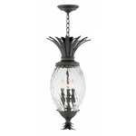 4 Light Medium Outdoor Hanging Lantern Traditional-glam Style 12.5 Inches. Fixed Price $1099.00.
