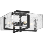 Progress Lighting P350271 Rivera 4 13"W Semi-flush Ceiling Black. Fixed Price $349.99.