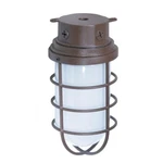 Satco SF76-627 10" Vapor Proof Surface Mount With Fr Glass Old Bronze Finish. Fixed Price $50.65.