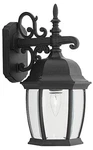 Tiverton 16" High Clear Glass Black Outdoor Wall Light. Fixed Price $83.00.