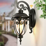 Vianis Outdoor Lights For House Dusk To Dawn, Waterproof Porch. Fixed Price $54.99.