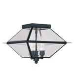 Livex Lighting Westover Outdoor/indoor Ceiling Mount Black 2185-04. Fixed Price $289.96.