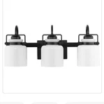 Progress Lighting Fessler 3 Matte Black Opal Glass Farmhouse Fixture. Fixed Price $74.95.
