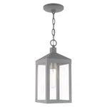 Livex Nyack Light Outdoor Pendant Lantern, Nordic Gray 20591-80. Fixed Price $249.90.