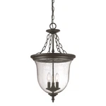Acclaim Lighting Belle Hanging Light, Matte Black - 9316BK. Fixed Price $232.00.