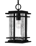 Quoizel MCL1908 Mcalister 8"W Outdoor Mini Pendant - Black. Fixed Price $379.99.