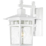 Nuvo Lighting 60/4951 Cove Neck 11-3/4" Tall Outdoor Wall White. Fixed Price $89.99.
