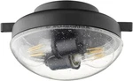 Transitional Black Led Patio Light Kit 1370-69. Fixed Price $183.99.
