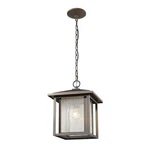Z-lite Aspen Lt Outdoor, 11X14.13", Oil Bronze, Clear Seedy 554CHB-ORB. Fixed Price $164.99.