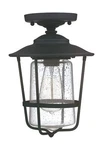 Capital Lighting 9607BK Creekside Clear Glass Outdoor Semi Flush Ceiling Ligh.... Fixed Price $180.27.