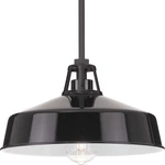 Progress Lighting P550116 Cedar Springs 13"W Outdoor Pendant - Black. Fixed Price $135.99.