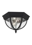 Generation Lighting 78136-12 Wynfield Two Outdoor Ceiling Flush Mount H.... Fixed Price $85.58.