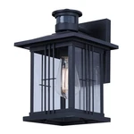 Canarm Grant Light 12" Outdoor Lantern, Black - IOL718BK. Fixed Price $99.99.