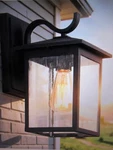 Lnc Matte Black Outdoor Sconce 1-LIGHT Wall With Seedy Glass Shade. Fixed Price $37.95.
