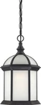 Nuvo Lighting Boxwood Black Energy Saving Led Hanging Lantern. Fixed Price $59.99.