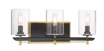 Minka Metropolitan Lighting N7851-707 Sable Point Three Bath Vanity. Fixed Price $226.95.