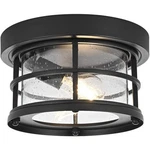 Elegant Lighting OD614F10BK Carla Inch Black Outdoor Flush Mount. Fixed Price $146.00.