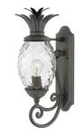 Hinkley Lighting 2120 Black Plantation Single 21"H Outdoor Wall Sconce. Fixed Price $699.00.