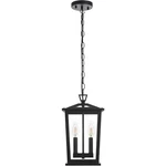 Elegant Lighting OD333H15BK Berks 2 6 Inch Black Outdoor Pendant. Fixed Price $120.00.