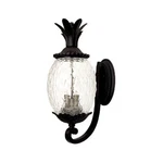 Used Acclaim Lighting 7511BK Lanai - Three Outdoor Wall Mount 10 Inches. Fixed Price $204.00.