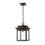 Millennium Belle Chasse Light 17" Outdoor Hanging Lantern, Bronze 2665-PBZ. Fixed Price $127.00.