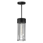 Black One Light Outdoor Pendant From The Millennial Collection. Fixed Price $90.00.