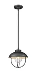 Ansel 1-LIGHT Outdoor Pendant In Black. Fixed Price $164.00.