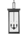 Millennium Lighting 42605 Barkeley 11"W Outdoor Pendant - Black. Fixed Price $199.90.