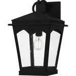 Earth Black Outdoor Wall Lantern From The Huck Collection. Fixed Price $369.99.