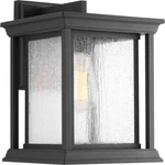Endicott 1-LIGHT Textured Black Seeded Glass Outdoor Wall Lantern By Pl. Fixed Price $154.40.