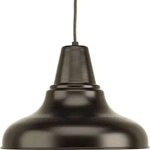 Progress Lighting P5551-20 One-light Large Hanging Lantern. Fixed Price $60.00.
