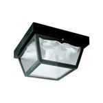 Westinghouse Poly Ceiling Fixture A19 B13 10-1/4 In. Uses 2 Med Base Bx. Fixed Price $54.63.