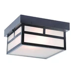 Acclaim Lighting 4710BK Ceiling Mount 2-LIGHT, Matte Black. Fixed Price $170.00.