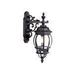 Acclaim Lighting 5155 Black/clear Chateau 1-LIGHT 18.75"H Outdoor Wall Sconce. Fixed Price $110.00.